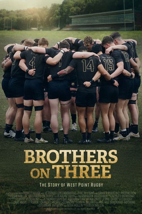 Brothers on Three poster