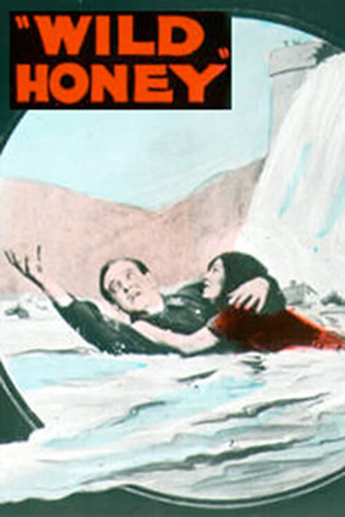 Wild Honey poster