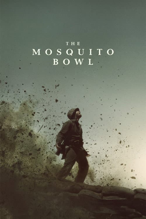The Mosquito Bowl poster