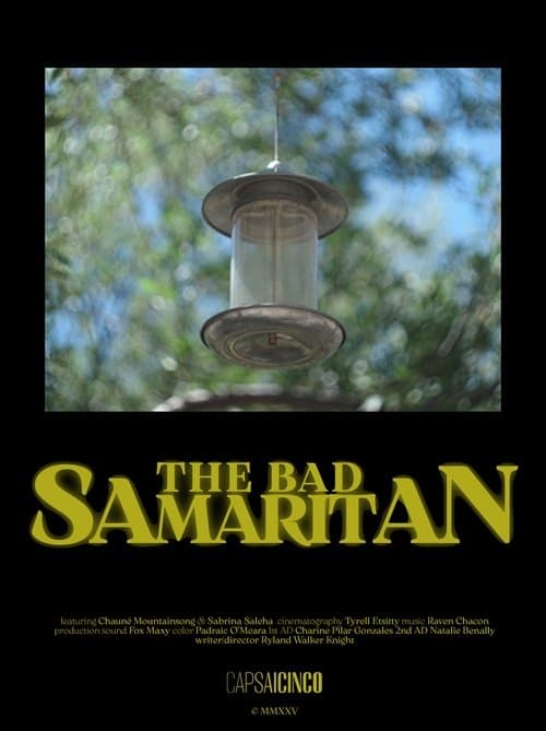 The Bad Samaritan poster