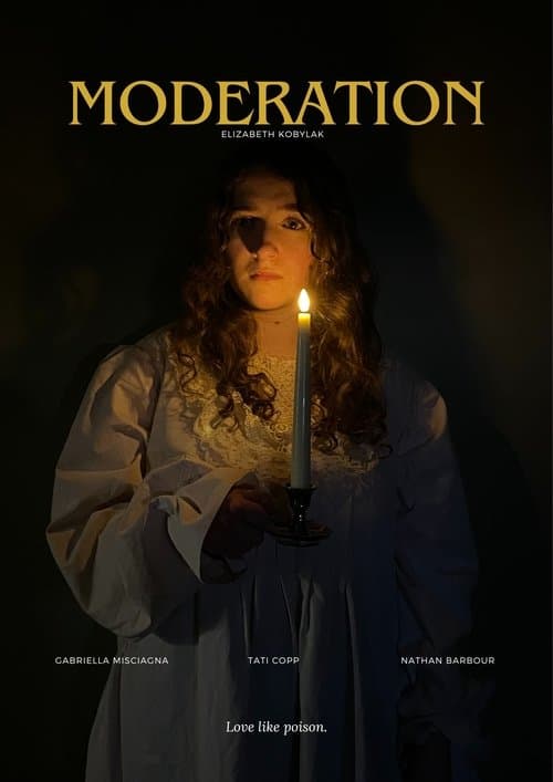 Moderation poster