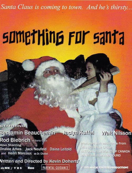 Something for Santa poster