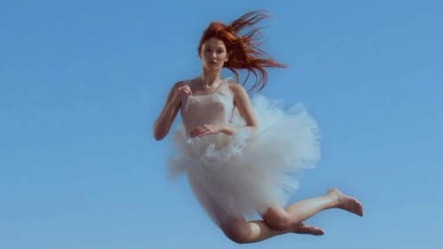 The Model poster