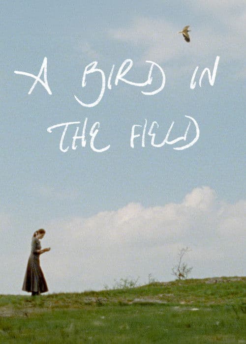 A Bird in the Field poster