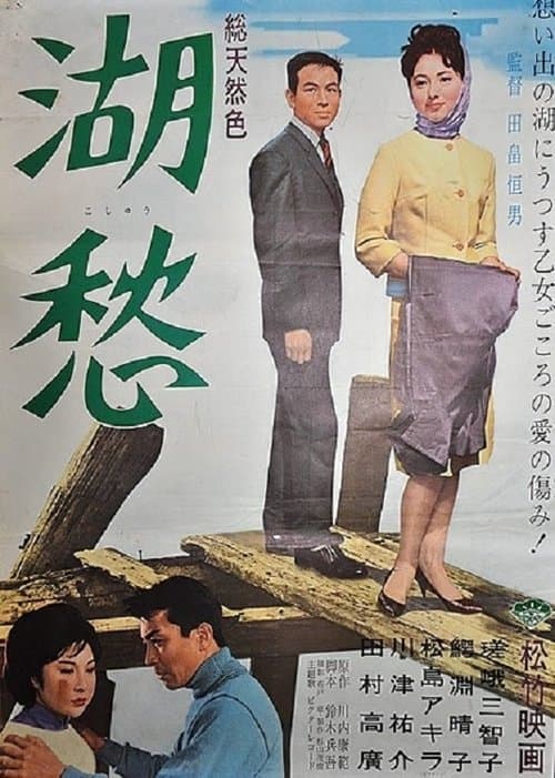 湖愁 poster