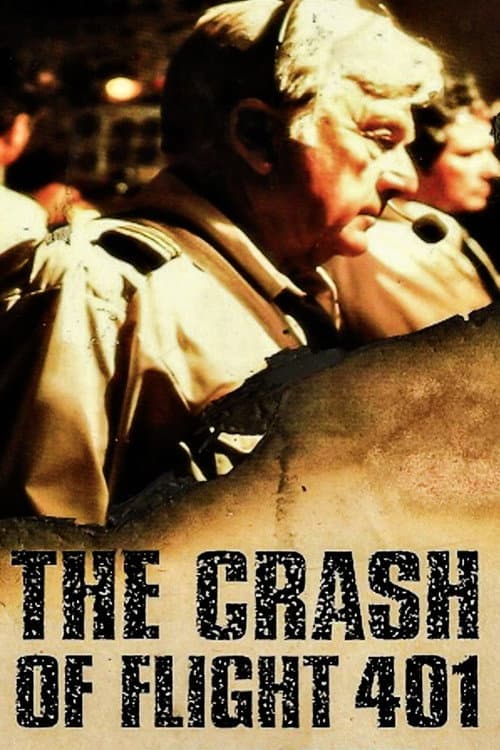 The Crash of Flight 401 poster