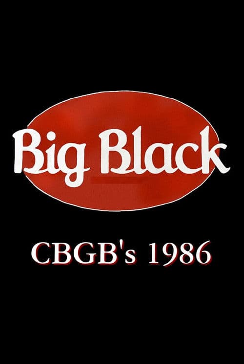 Big Black: Live at CBGB's poster