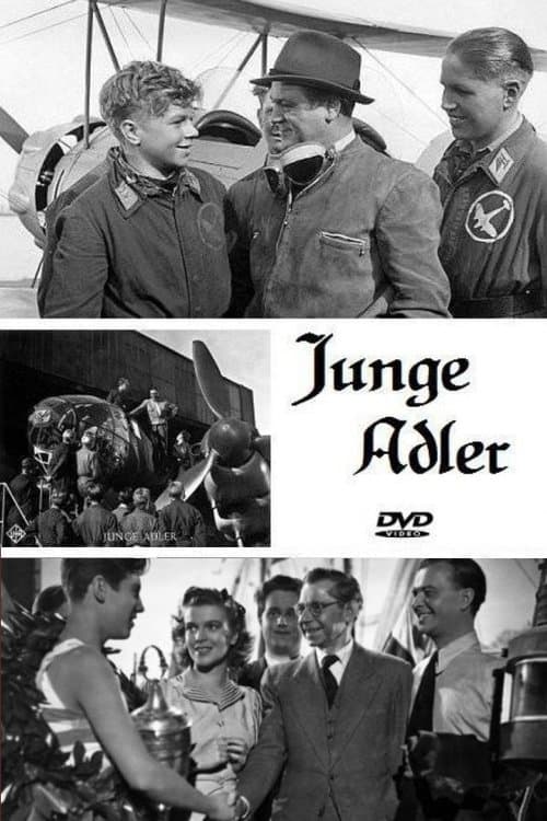 Junge Adler poster