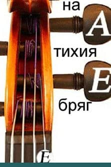 On the Quiet Coast poster