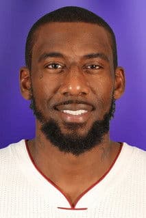Amar'e Stoudemire profile photo