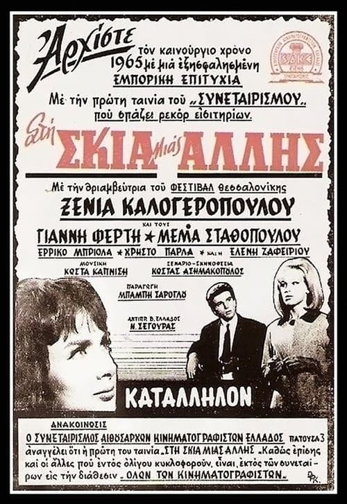 In the shadow of the other woman poster