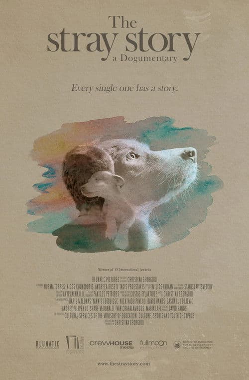 The Stray Story: A Dogumentary poster