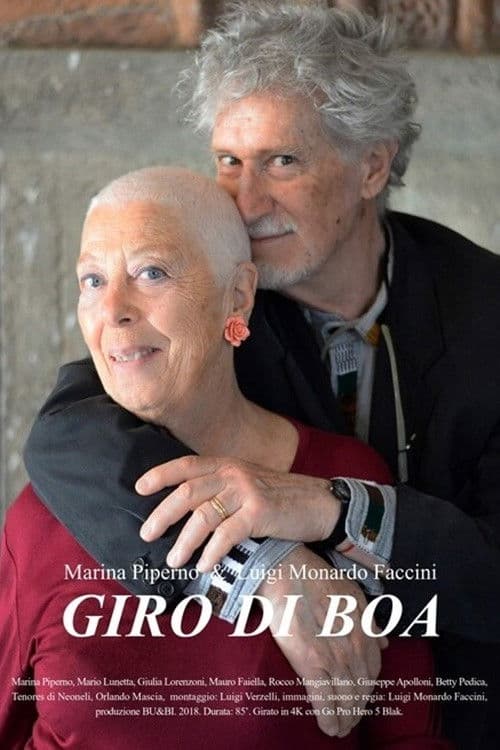 Giro di boa poster