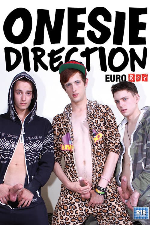 Onesie Direction poster