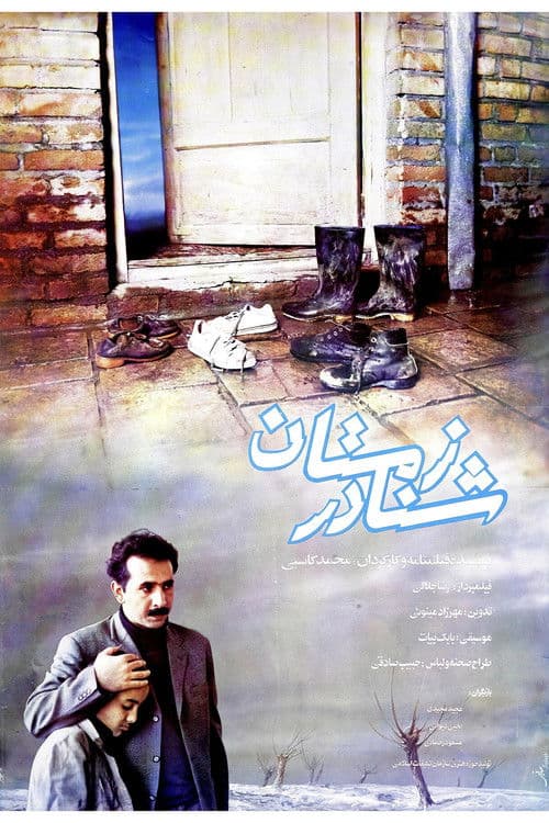 Swimming in The Winter poster