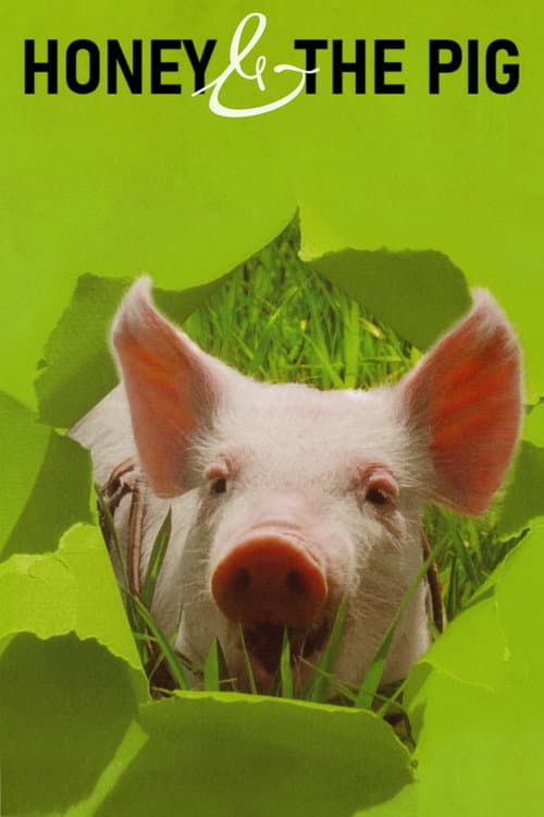 Honey and the Pig poster