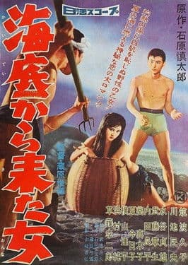 Woman from the Sea poster