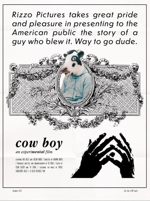 Cow Boy poster
