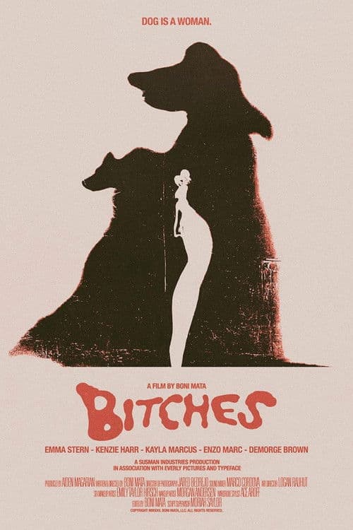 Bitches poster