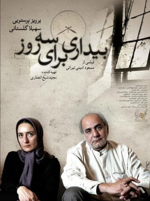 Awakening for Three Days poster