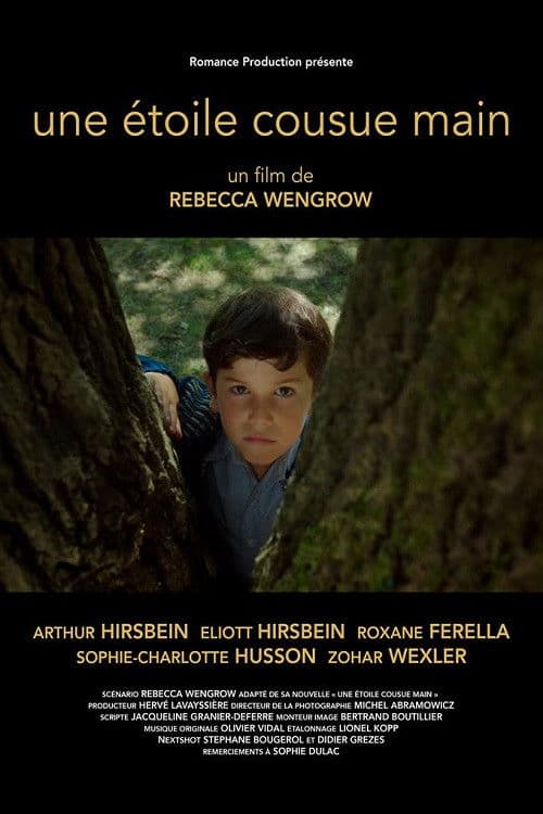 A Hand Sewn Star poster