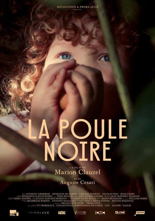La Poule noire poster
