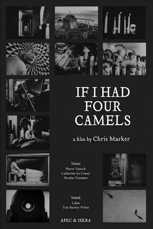 If I Had Four Dromedaries poster