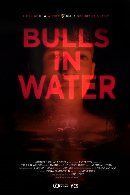 Bulls in Water poster