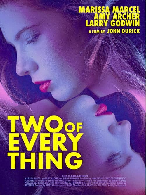 Two of Everything poster