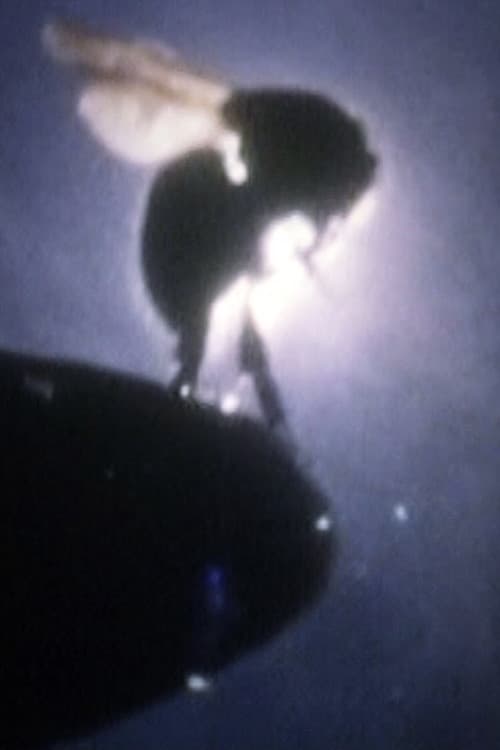 UFO Flying Course poster