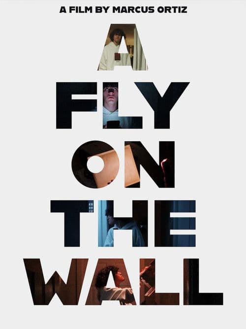 A Fly On The Wall poster