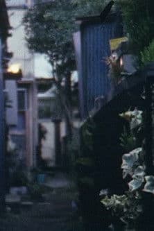 Cat on the tin roof poster