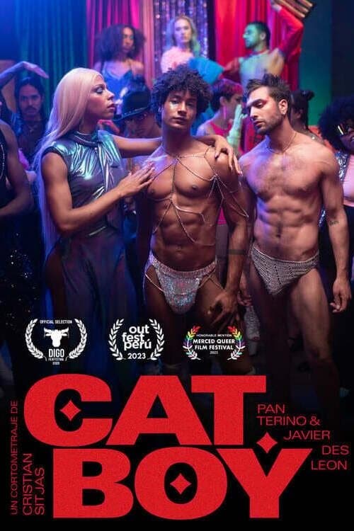 CatBoy poster