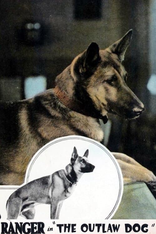 The Outlaw Dog poster
