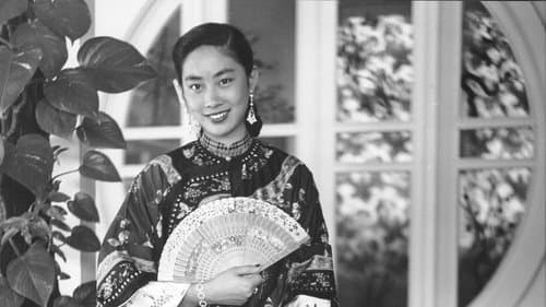 Lisa Lu Plays Herself poster