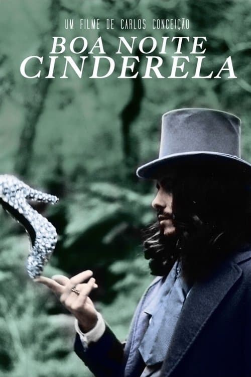 Goodnight Cinderella poster