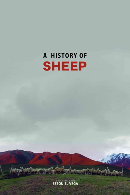 A History Of Sheep poster