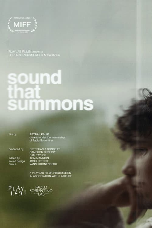 Sound That Summons poster