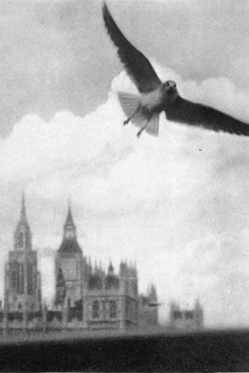 London Visitors poster