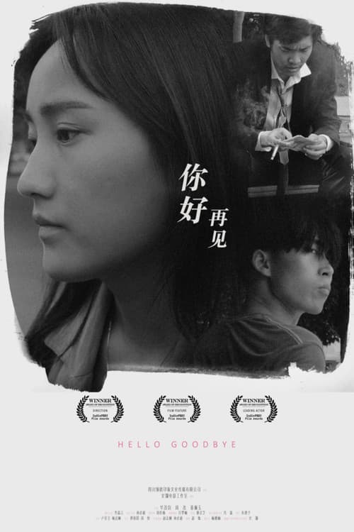 Hello, Goodbye poster