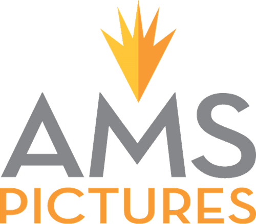 AMS Pictures