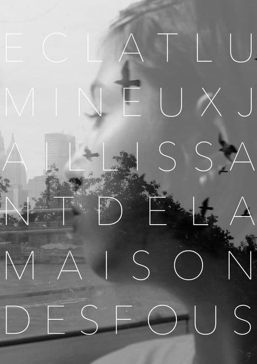 Éclat Lumineux Jaillissant de la Maison des Fous poster