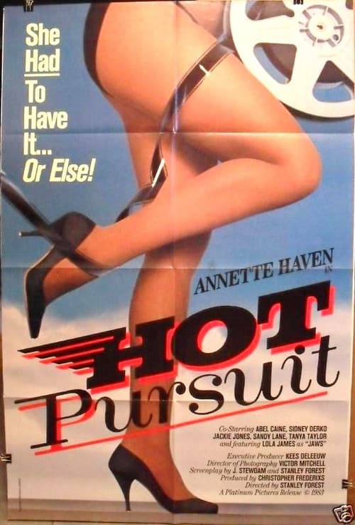 Hot Pursuit poster