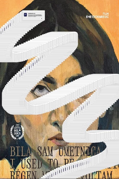 I Used to Be an Artist poster