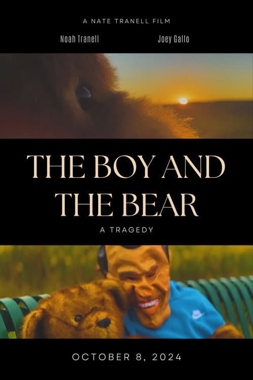 The Boy and the Bear poster