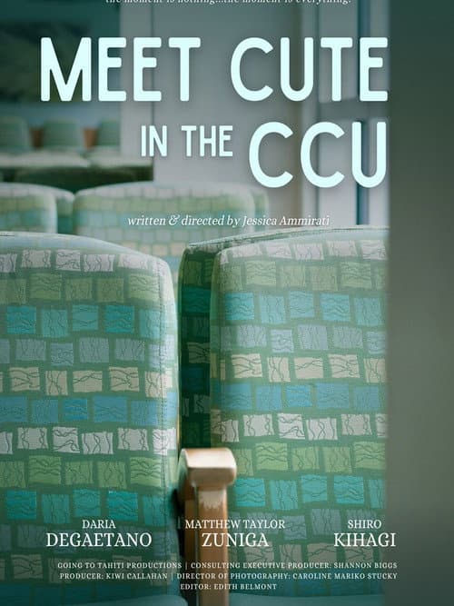 Meet Cute In the CCU poster