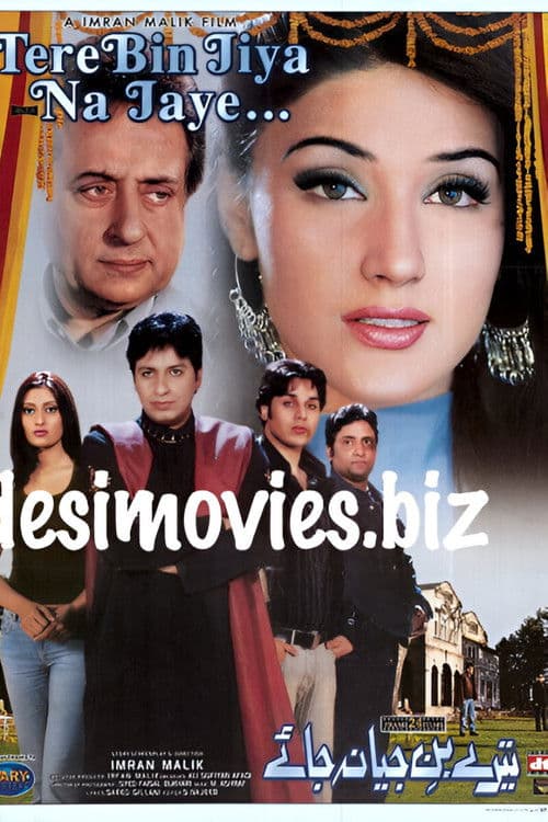 Tere Bin Jiya Na Jaye poster