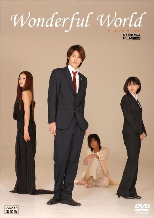 Wonderful World poster