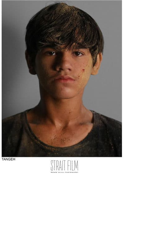 Sina Ebrahimi profile photo