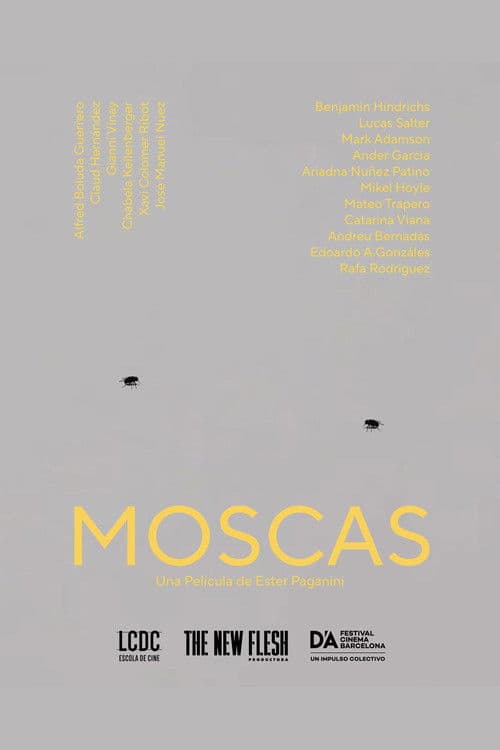 Moscas poster